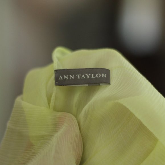 ANN TAYLOR Celery Colored Scarf or Wrap with Light Stripes - Picture 5 of 6
